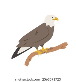 Bald eagle cartoon clipart. Eagle vector illustration in flat style. Hand-drawn wild animal concept