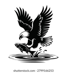 Bald eagle catching a fish in water black and white vector silhouette