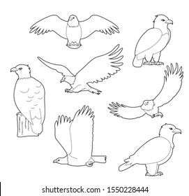 Bald Eagle Cute Cartoon Vector Coloring Book