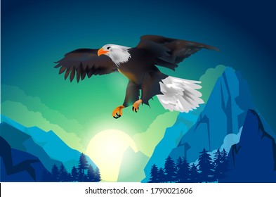 Bald eagle flaying vector illustration