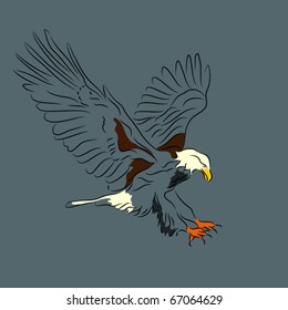 Bald eagle in flight done in linear style on blue gray background