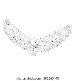 Bald eagle fly landing,vector illustration hand drawn.Freedom concept.For print,t-shirts, tattoo,apparel and web site.Also useful for poster,placard,wallpaper,backdrop and card.Liberty symbol