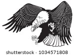 bald eagle in the fly . White headed American bird . Black and white tattoo style vector illustration 