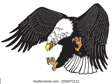 bald eagle in the fly . White headed American bird . Tattoo style vector illustration 