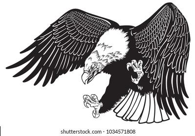 bald eagle in the fly . White headed American bird . Black and white tattoo style vector illustration 