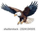 Bald Eagle flying in the air. Eagle flying looking for its next meal. Vector illustration isolated on white background

