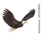 Bald eagle flying, cartoon bird of prey. Flight and soaring of sea eagle to hunt and feed, predatory mascot. Cartoon predator with sharp talons, strong wings and curve beak vector illustration