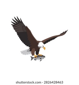 Bald Eagle Flying and Catching Fish Illustration Isolated on White Background for Wildlife Design