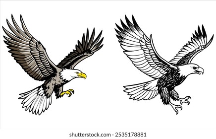 Águila calva volando dibujar y pintar sobre fondo blanco Ilustración vectorial