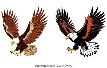 Águila calva volando dibujar y pintar sobre fondo blanco Ilustración vectorial