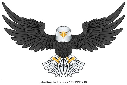 Bald eagle flying graphic vector
