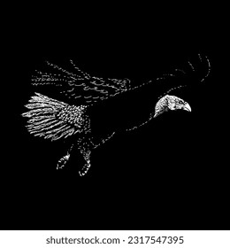 vector de dibujo de la mano voladora del águila calva aislado en el fondo negro.