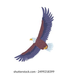 Bald Eagle fliegendes Symbol. Wilder großer Raubvogel in die Höhe schnellend, Flug mit voller Spannweite Blick. Amerikanischer Adler mit weißem Schwanz und Kopf. Cartoon, Vektorgrafik, flache Illustration von Falken oder Falken einzeln