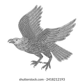 Bald eagle flying on the sky, Vintage engraving drawing style illustration