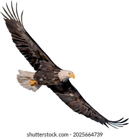 Bald eagle flying polygonal style vector illustration