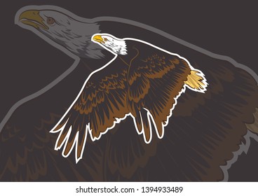 Bald eagle flying in the sky