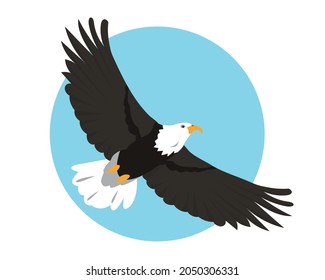 Bald Eagle flying in sky. Bird icon isolated on background. North American eagle for Nature, bird watching and ornithology design. Vector cartoon or flat illustration.