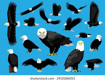 Bald Eagle Flying Standing Face Looking Cartoon Vector Illustration