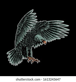 Bald eagle flying swoop draw artwork color on black background illustration, for t shirt tottebag, mug, hoodie