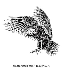 Bald Eagle Flying Swoop Line Art Stock Vector (Royalty Free) 1613245777 ...