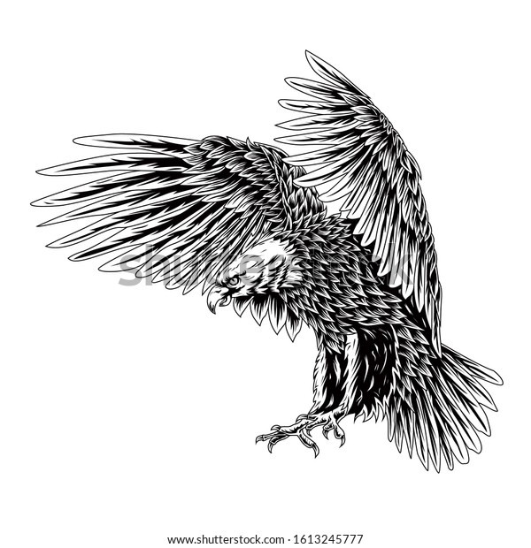 Bald Eagle Flying Swoop Line Art Stock Vector (Royalty Free) 1613245777