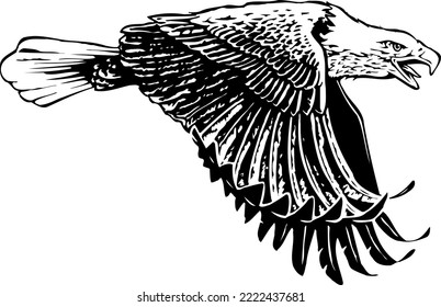 Bald Eagle Flying Vector Illustration