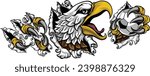 A bald eagle or hawk with claw talons holding a soccer football ball and ripping or tearing through the background. Sports Mascot