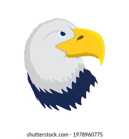bald eagle head animal isolated