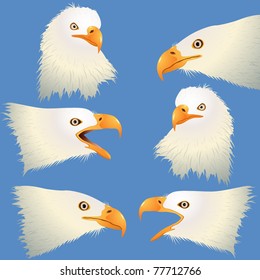 Bald Eagle Head Collection. Vector