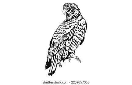 Bald Eagle head, Cut Files for Cutting Machines like Cricut and Silhouette