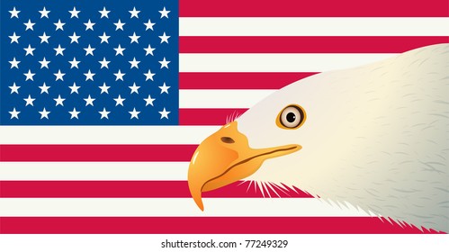 Bald Eagle Head in front of the American Flag. Vector banner, background for your 4th of July Holiday.  Series No. 3 Design