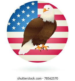Bald Eagle Head in front of the American Flag .