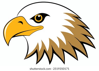 Bald eagle Head front face