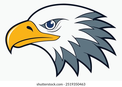 Bald eagle Head front face