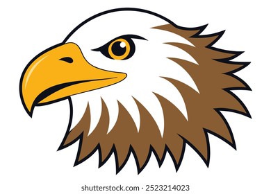 Bald eagle Head front face