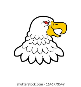 Bald eagle head isolated. Predator bird. Vector illustration
