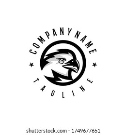 Bald eagle head logo design template. Awesome a bald eagle head with circle logo.  