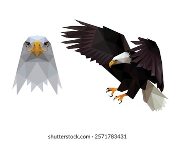 Bald eagle head logo polygon vector. Low poly polygonal vector of Bald Eagle Hawk. Bald eagle majestic face head triangle Illustration