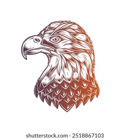 Bald eagle head. Original vector illustration in vintage style isolated on white background. T-shirt design. Hand drawn, not by AI!