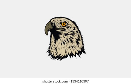Bald Eagle Head Vector Illustration #2