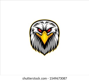 Bald eagle head vector illustration