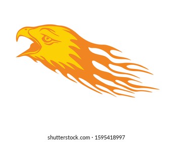 Bald eagle head vector illustration