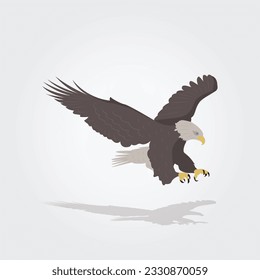 Bald Eagle Hunt Illustration Vector 