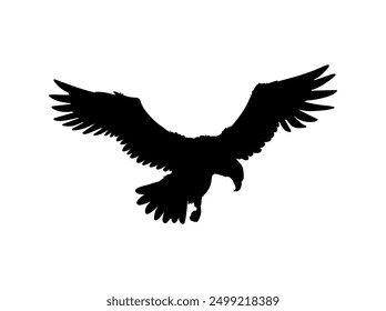 Bald Eagle hunting black silhouette icon. American eagle vector outline illustration isolated on white. Wild bird of prey soaring. Falcon or hawk carnivore animal flight