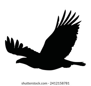 Bald eagle icon illustration isolated vector sign symbol silhouettes Images.