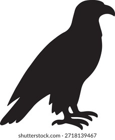 Bald Eagle Symbol - Vektorgrafik