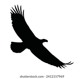 Bald eagle illustration symbol. eagle silhouette.