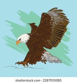 Bald Eagle Illustrations  Vectors eps