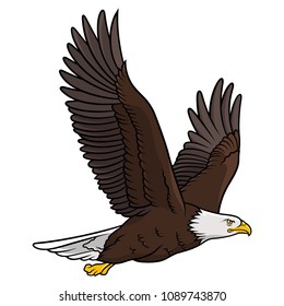 Bald Eagle Isolated On White This Stock Vector (Royalty Free ...