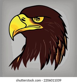 Bald Eagle isolated on white.